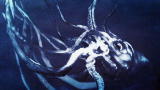 Lost Tapes: Kraken