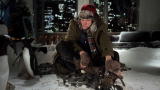 Animal Planet Promos: Mr. Popper's Penguins Sweepstakes