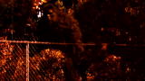 Finding Bigfoot: A Young Bigfoot Witness Comes Forward