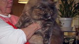Weird True & Freaky: A 46-Pound Cat