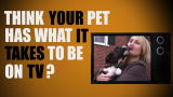 The Casting Couch: Casting Call