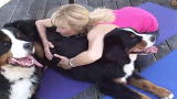 The Daily Treat: Na-mutt-ste with Doga Yoga