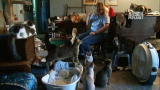 Confessions: Animal Hoarding: 80 Cats and a Baby