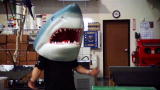 Tanked: Brett Gets Sharky