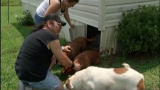 Confessions: Animal Hoarding: Greg Gets Help