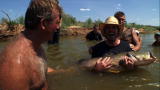 Hillbilly Handfishin': Catching a 50-Pound Catfish