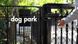 Dog Park: Dog Park: An Original Web Series