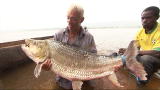 River Monsters: How to Catch a Goliath Tigerfish