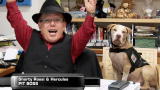 Puppy Bowl IX: Touchdown Aurora!