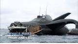 Whale Wars: Season 3 Trailer