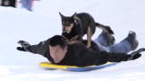 The Daily Treat: The Extreme Sports Sporting Breed
