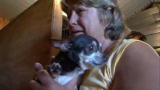 Confessions: Animal Hoarding: Surrendering Animals to New Homes