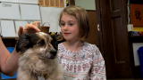 Small Dogs, Big Jobs: Small Dog Calms Kids' Fears