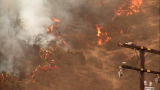 Pit Bulls and Parolees: Wildfire Threatens Villalobos