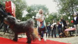 play video on Animal Planet