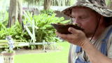 Swamp'd!: Cajun Caviar