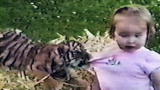 APL Top 25 of All Time: Planet's Funniest Animals, Episode 16