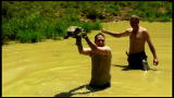play video on Animal Planet