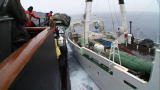 Whale Wars: When Ships Collide