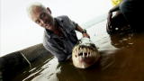 River Monsters: The Demon Fish