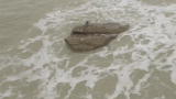 The New Evidence: Unlock New Mermaids Evidence