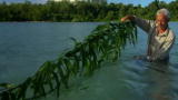 Tribal Fishing With Jeremy Wade: Fishing With Psychology