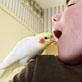 Planet's Funniest Animals: Boy Feeds Bird