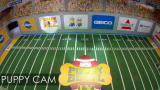 Puppy Bowl IX: Puppy Cam: Never a Dull Moment!
