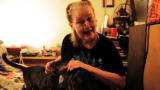 Confessions: Animal Hoarding: Kitten