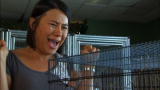 My Extreme Animal Phobia: Bird-Induced Screaming Fit