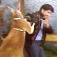 Untamed and Uncut: Kangaroo Goes Berzerk