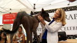 World's Ugliest Dog 2009: Veronica