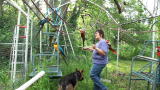 Confessions: Animal Hoarding: Choosing Birds Over People