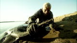 River Monsters: How to Catch a Short-Tailed Stingray