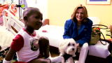 Small Dogs, Big Jobs :Healing Sick Children Like No One Else Can