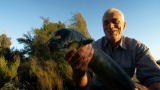 River Monsters: How to Catch a Longfin Eel