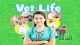 The Daily Treat: Vet Life