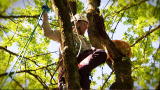 Must Love Cats: 4. Dan the Tree Climber