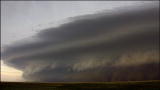WildRussia: Animals Weather Sandstorm
