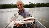 River Monsters: A Growling Piraiba Catfish