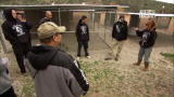 Pit Bulls and Parolees: Pit Bull on Parole