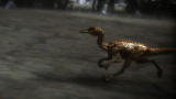 Animal Armageddon: Troodon