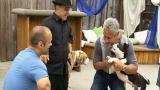 Pit Boss: Grab Your Saddle