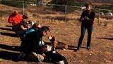 Groomer Has It 2: Training Basset Hounds