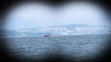 Whale Wars: Tailed by Mystery Boat