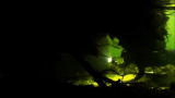 Into the Dragon's Lair: Monster In the Dark