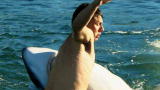 Your Worst Animal Nightmares: Shark Drags Friend To His Death