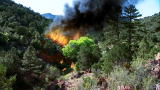 I Shouldn't Be Alive: Lost In the Wilderness