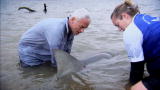 River Monsters: How to Catch a Bull Shark