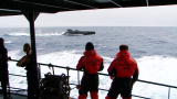 Whale Wars: High-Speed Hand Off